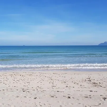 Ideal Mallorca - Cittadini 26 Apartamento *